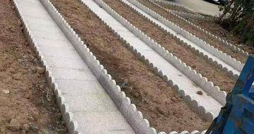 鹰潭芝麻白花边石